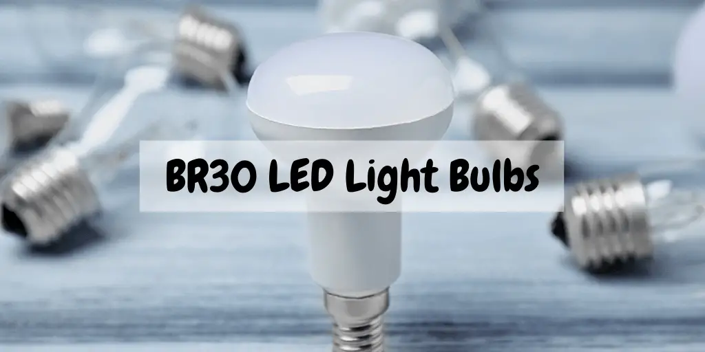 Best BR30 LED Light Bulbs