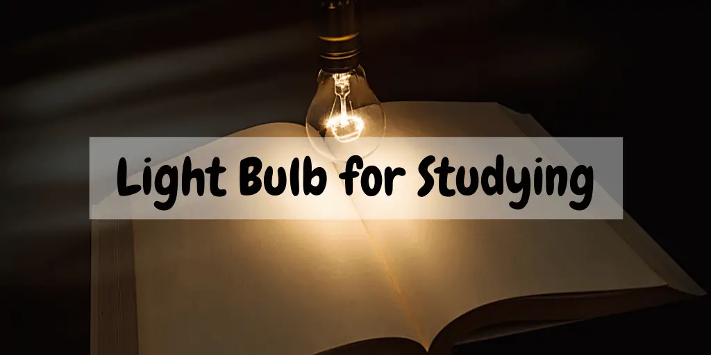 Best Light Bulb for Studying